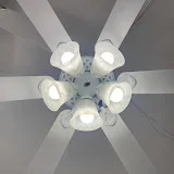 Jaxinator207's Ceiling Fan Showcase