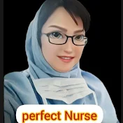 Perfect Nurse