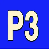 P 3