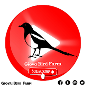 Giova Bird Farm