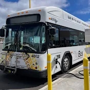 Hawaii's Buses and Skyline + Life