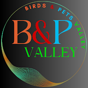 Birds and Pets Valley