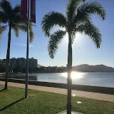 Ships in Tropical Oz