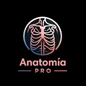 Anatomía Pro