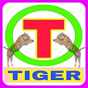 TIGER STAGE RAGNI