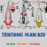 Tentang Ikan koi