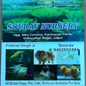 Sourav Nursery& pet, Birds House