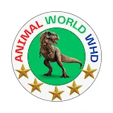 animal world WHD