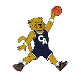 Chicago Academy High School Sports