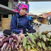 Nguyên hông liên - Daily farm