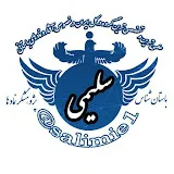 سلیمی مرد باستانsalimie1@