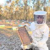 Apiculture au Maroc. محمد حماد.