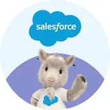 Salesforce Support