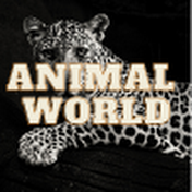 ANIMAL WORLD