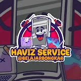 HAVIZ SERVICE