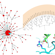 Bioinformatics Insights