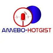 AMEBO-hotgist