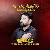 Syed Raza Abbas Shah