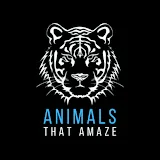 Animals That Amaze