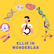 Ellie in Wonderlab