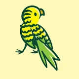 Budgerigar Melopsittacus Undulatus