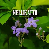 NELLIKATTIL YOUTUBE CHANNEL