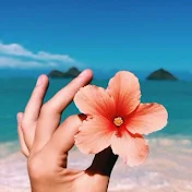 Kiwi Aloha