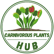 Carnivorous Plants Hub