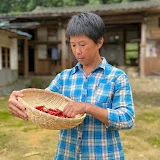 闽湖阿嬤Fujian Grandma