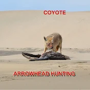 Coyote Arrowhead Hunting