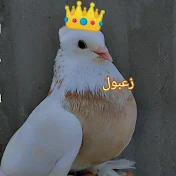 الطيور المميزه