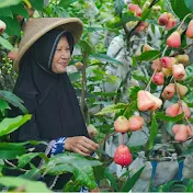 Kampung Halaman Official