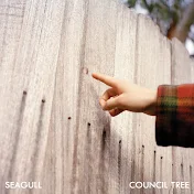 Seagull - Topic