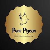 Pune Pigeon