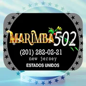 Marimba 502 Oficial