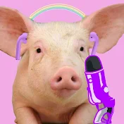 Pig Asmr