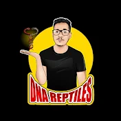 DnA Reptiles