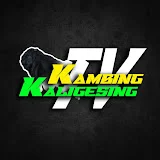 Kambing Kaligesing Tv