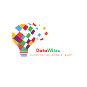 DataWitzz