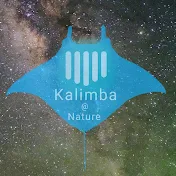 🏝️Kalimba@Nature🏝️