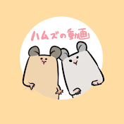 おがくずの箱