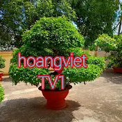 Hoàng Việt TV1