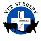 Vet Surgery