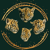 Four Tigers Entertainment