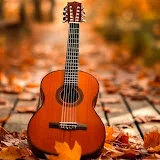 Guitarra Encanto Romántico