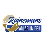 Ruinemans Aquarium Fish