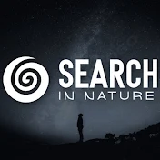Search In Nature