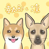 柴犬の幸太郎と保護犬の凛〜コタ凛チャンネル〜