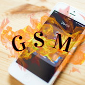 GSM FAST SOLUTIONS