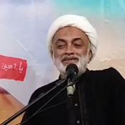 آقائ علی ناصر مھدوی